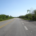 DSC00264.JPG