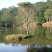 Another view of the pool. Crocodiles as well as hippos live here.