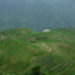 08 ping an.jpg