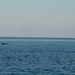 k-CIMG6294.JPG
