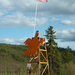 SDC11044d.JPG