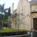 A weaver bird tree in front of the Sibaya casino in Durban.