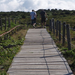 P8190182-1.jpg