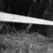 DSC03913.JPG