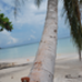 DSC_0031.JPG