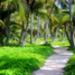 Walking trail to Cabo San Juan beach.