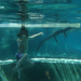 Yes, they both cant go under water without holding their noses! .JPG