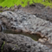 20120125-_MG_6755.jpg