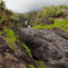20120125-_MG_6754.jpg