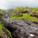 20120125-_MG_6748.jpg