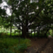 20120125-_MG_6747.jpg