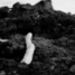 20120125-_MG_6769.jpg