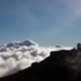 20120124-_MG_6725.jpg