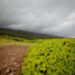 20120125-_MG_6763.jpg