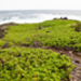 20120125-_MG_6758.jpg