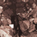 1047.jpg