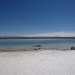 P1000217.JPG