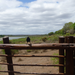 View of the Sabie River.
