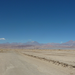 P1000253.JPG