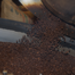 Roasting Coffee in Soriano