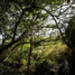 20120127-_MG_6883-2.jpg