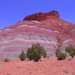 desert.jpg