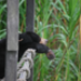 DSC_0271.JPG