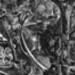 Congo engraving J Buckland Wright.jpg