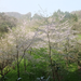 DSCF3488_R.JPG