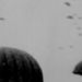 ww2-109.jpg