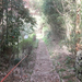 DSCF3487_R.JPG