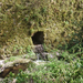 DSCF3489_R.JPG