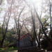 DSCF3486_R.JPG