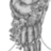 bp8.gif