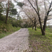 DSCF3508_R.JPG