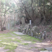 DSCF3484_R.JPG