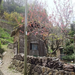 DSCF3445_R.JPG