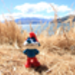 Wanaka OK.jpg