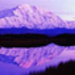 purple.jpg