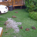 P1070401 (2).JPG