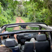 Safari-Camino-del-Pionero2.jpg