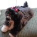 IMG_3664_edited-2.jpg