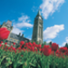 parliament06.jpg