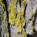 DSC00897.jpg