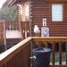 Seagull perched on the veranda of our chalet looking for food.