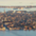 City of Venice.jpg
