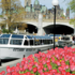 canadian_tulip_festival20.jpg