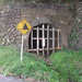 DSCF3479_R.JPG