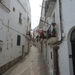 DSC00328.JPG