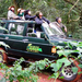 Safari-en-la-Selva-Camioneta2.jpg